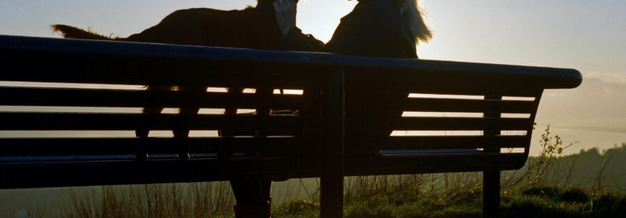 If you’re planning to move to Sweden and bring your dog along, be prepared—your furry friend might have more legal rights than you do.