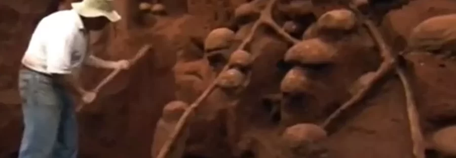 Scientists conducting a study of abandoned ant colonies were stunned to uncover what can only be described as an underground "mega-city" engineered by ants.